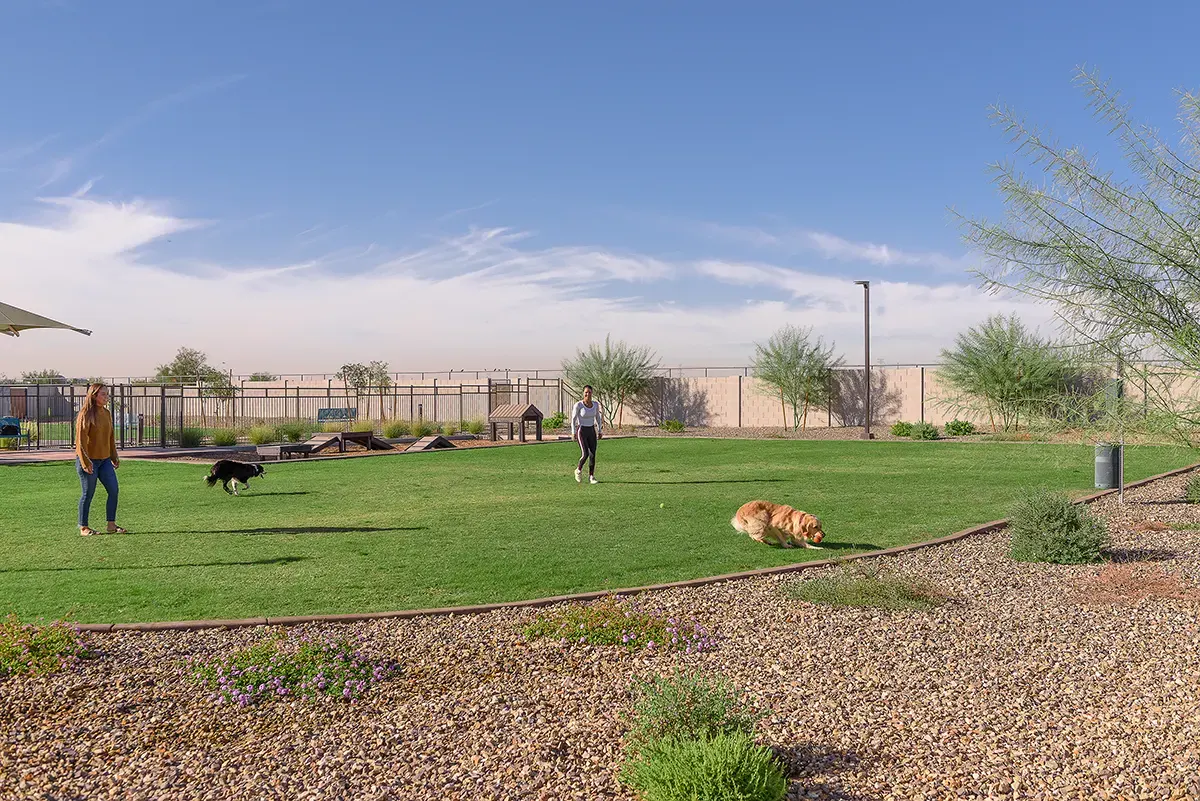 Enclosed dog exercise area at Village at Camelback Park.